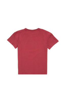 Erkek _ocuk Vi_ne Oversize Bisiklet Yaka Ti__rt Sepette S_rpriz _ndirim - U.s. polo assn фото 2