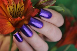 El Corazon 423/ 951 active Bio-gel Eastern Organza