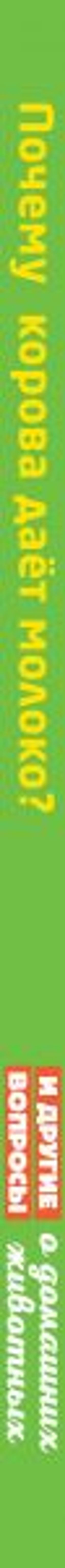 Почему корова даёт молоко? И другие вопросы о домашних животных