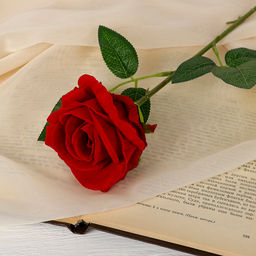 Цена за 2 шт. Цветы искусственные «Роза боливийская», 8×55 см, красные