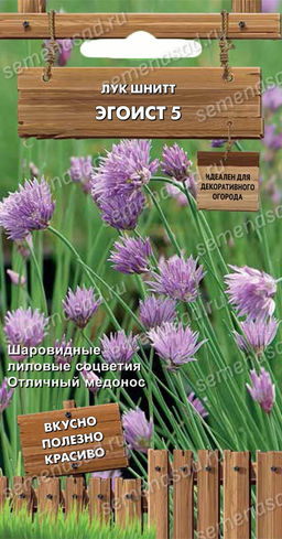 Лук шнитт Эгоист 5 (сер.Декоративный огород) (А) (ЦВ) 0,25гр