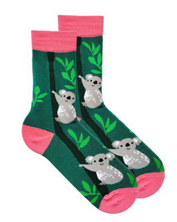 Носки р.35-40 Cute Animals Коала