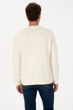 Erkek Krem Basic Sweatshirt - U.s. polo assn фото 5