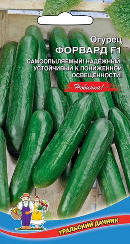 Огурец ФОРВАРД F1 Самоопыляемый! Надёжный! Устойчив к пониженной освещённости!