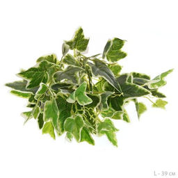 Зелень искусственная Плющ 39 см / 7034W /уп 400/ - Галеонтрейд фото 2