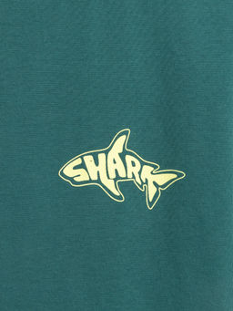 ACOOLA / Набор детский для мальчиков ((1)футболка и (2)шорты) Sulawesi_set изумрудный фото 4