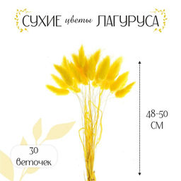 Сухие цветы лагуруса, набор 30 шт., цвет жёлтый