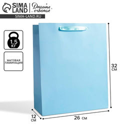Цена за 2 шт. Пакет подарочный, упаковка, Голубой, M 25.5 х 30 х 9 см