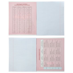 Набор предметных тетрадей Calligrata «Неон», 10 предметов, 48 листов, со справочным материалом, обложка из мелованного картона, УФ-лак, блок офсет