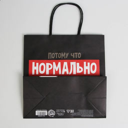 Цена за 2 шт. Пакет подарочный новогодний «Нормально надо отвечать», 22×22×11 см