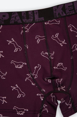 Мужские трусы-боксеры Kenn Paul  фото 6