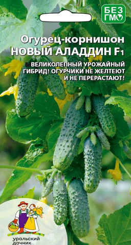 Огурец НОВЫЙ АЛАДДИН F1  Великолепный урожайный гибрид! Огурчики не желтеют и не перерастают!