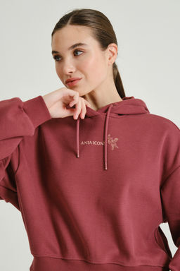 Худи утепленное Красный ICONIC Sweat Hoodie