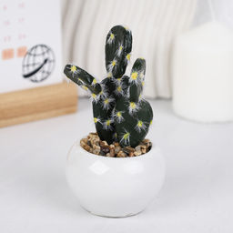 Цветочная композиция Кактус / WER-10 /уп 12/192/ микс