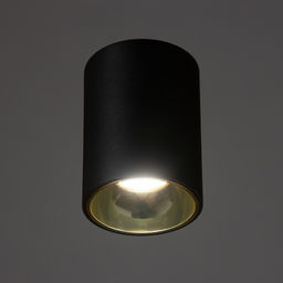 Светильник «Роллфи» LED 4000К 10 Вт DIM220 IP54 черный золото 7.5×7.5×10 см
