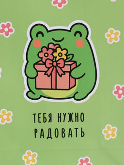 Пакет подарочный ламинированный «Радовать», 18×22.3×10 см