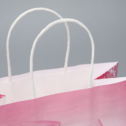 Цена за 2 шт. Пакет подарочный, упаковка, Чиксы, 22?22?11 см