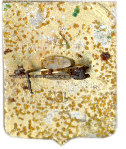 Значок Владимир