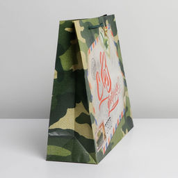 Цена за 2 шт. Пакет подарочный ламинированный, упаковка, «С 23 февраля», L 28×38×9 см