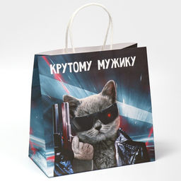 Пакет подарочный Мужику, 22 х 22 х 11 см