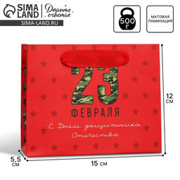 Цена за 3 шт. Пакет подарочный ламинированный, упаковка, «С 23 февраля», S 15×12×5.5 см