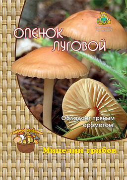 Опёнок луговой (12шт) 1 ШТ. НАМ ОТЛОЖИ