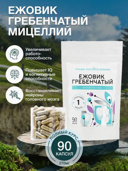 Ежовик гребенчатый мицелий