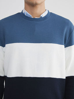 Bisiklet Yaka Renk Bloklu Erkek Sweatshirt