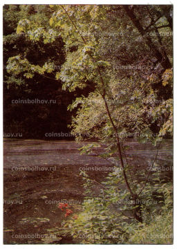 Открытка Музей-усадьба Ясная Поляна. Средний пруд в парке