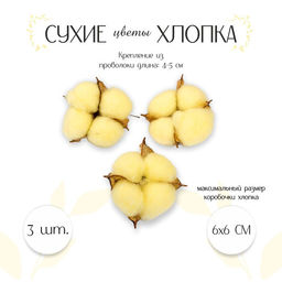 Сухие цветы хлопка, набор 3 шт., размер 1 шт. 6 6 см, цвет жёлтый