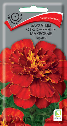 Бархатцы отклоненные махровые (Тагетес отклонённый) Кармен ( ЦВ) (1) 0,4гр. - Поиск фото 2