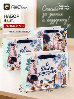 Пакеты подарочные С Днём учителя, набор 3 шт., 23?18?10 см