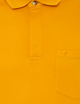 Sar_ Regular Fit Polo Yaka Merserize Ti__rt