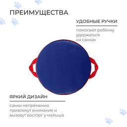 Санки-ледянки №75 «Чудик на ватрушке», d=40 см