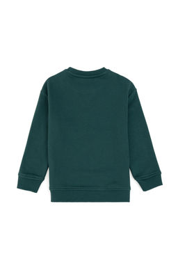 Темно-зеленый базовый свитшот для мальчика Неожиданная скидка в корзине - U.s. polo assn фото 2