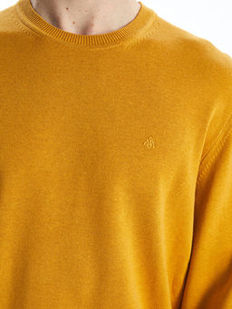 Bisiklet Yaka Erkek Triko Kazak