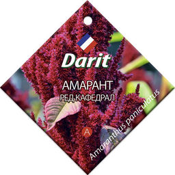 Амарант Ред Кафедрал 0,3г (Дарит)