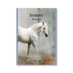 Светоч Блокнот на скобе, Б262 A5 48 л. 12 шт. клетка Королевский конь 01737  фото 6