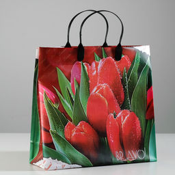 Цена за 10 шт. Пакет "Браво", мягкий пластик, 30 х 30 см, 150 мкм