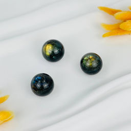 Шар из Лабрадора