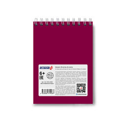 Б133 Светоч Блокнот на гребне для конференции, A6 60 л. 4 шт. клетка Для конференции бордо 01262  фото 3