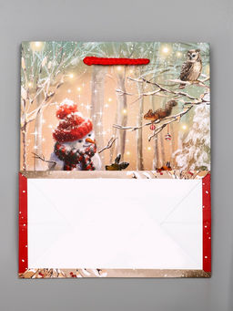 Цена за 2 шт. Пакет подарочный новогодний ламинированный, «Встреча друзей», 18×10×22.3 см