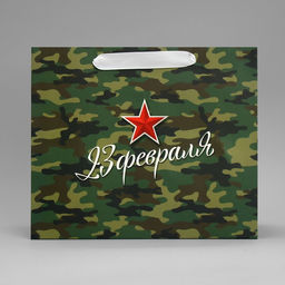 Цена за 2 шт. Пакет подарочный ламинированный, упаковка, «С 23 февраля», ML 27×23×11.5 см