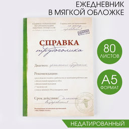 Ежедневник Справка трудоголика, А5, 80 листов