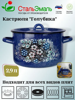 Кастрюля 2,9л 1с16с/1 син. с зерн. Голубика