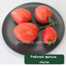 Рабочий выпуск пасты