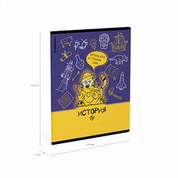 Цена за 5 шт. Тетрадь общая ученическая с пластиковой обложкой на скобе ErichKrause Котоформулы, История, 48 листов, клетка  фото 4