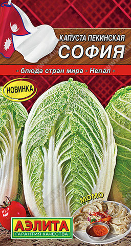 0498A Капуста Пекинская София 0,3гр