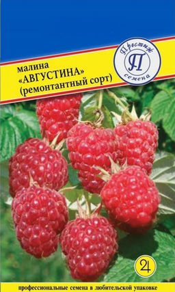 Малина ремонтантная Августина 10шт. (Россия) (Престиж)
