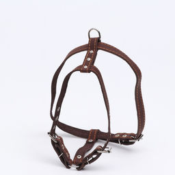 Шлейка кожаная Прогулочная, 2 см, ОШ 46-58 см, ОГ 78-85 см, коричневая